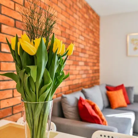 Ltc Malczewskiego Centrum